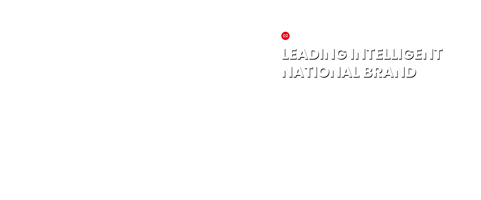 Leading Intelligent National Brand